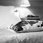 Hotell Alp'hotel La Clusaz