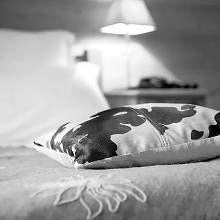 Alp'hotel 3* La Clusaz