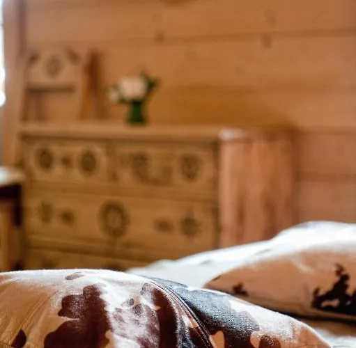 Hotel Alp'hotel 3*